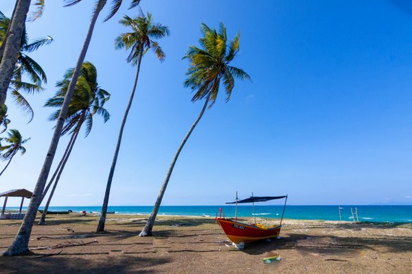 Welche nachhaltigen Souvenirs sollte man aus dem Urlaub mitbringen?